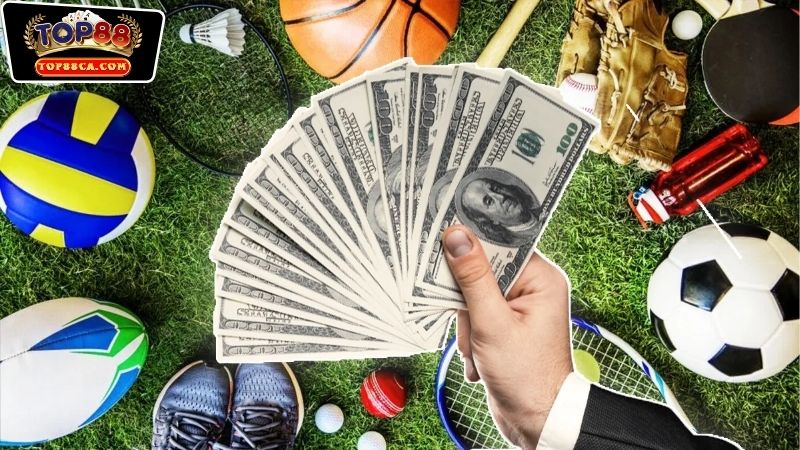 Các bộ môn được hỗ trợ dịch vụ cá độ tại Thể Thao Top88